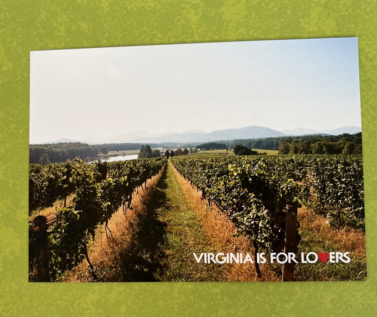 Cape May Best Wine Tasting In Nj Best Wineries North Jersey