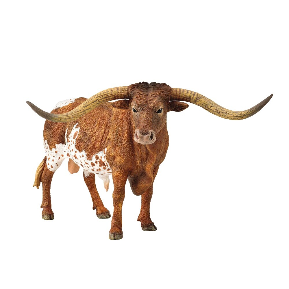 Texas Longhorn Bull | eBay