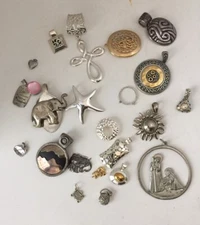 Lot Silver Gold Tone Pendant Charm Locket Lia Sophia Premier Design Chico Best