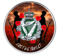 Royal Irish Regiment remembrance lest we forget lapel pin badge 25mm