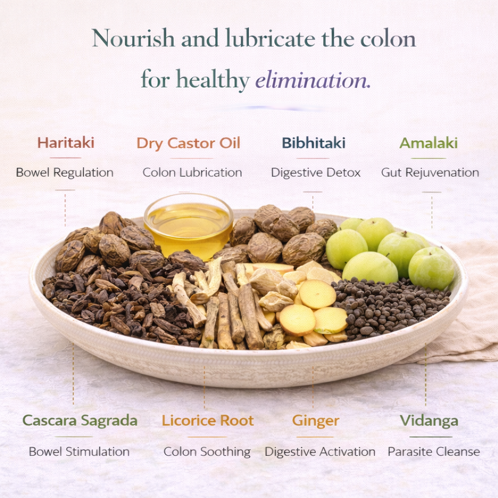 Dry Colon Colon Formula #18 | VATA | For chronic, dry, & |little to no bowel ...