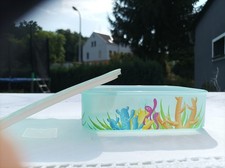 Tupperware Quadro 500 ml Motiv Dose Box Vorratsdose Meer