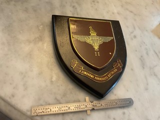 Plaque 2 Zimbabwe Parachute Battalion II