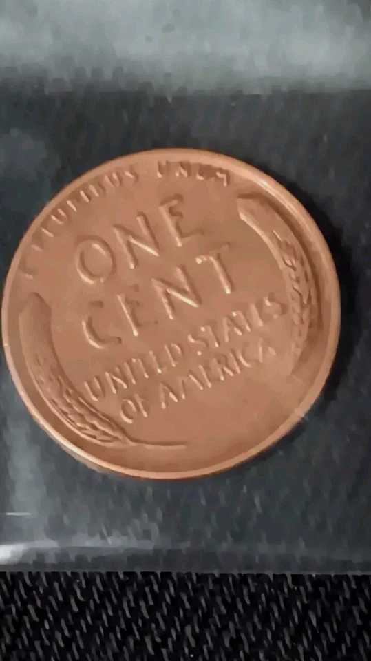 1952 D Lincoln Wheat Penny, L On Rim - Image 4 of 4