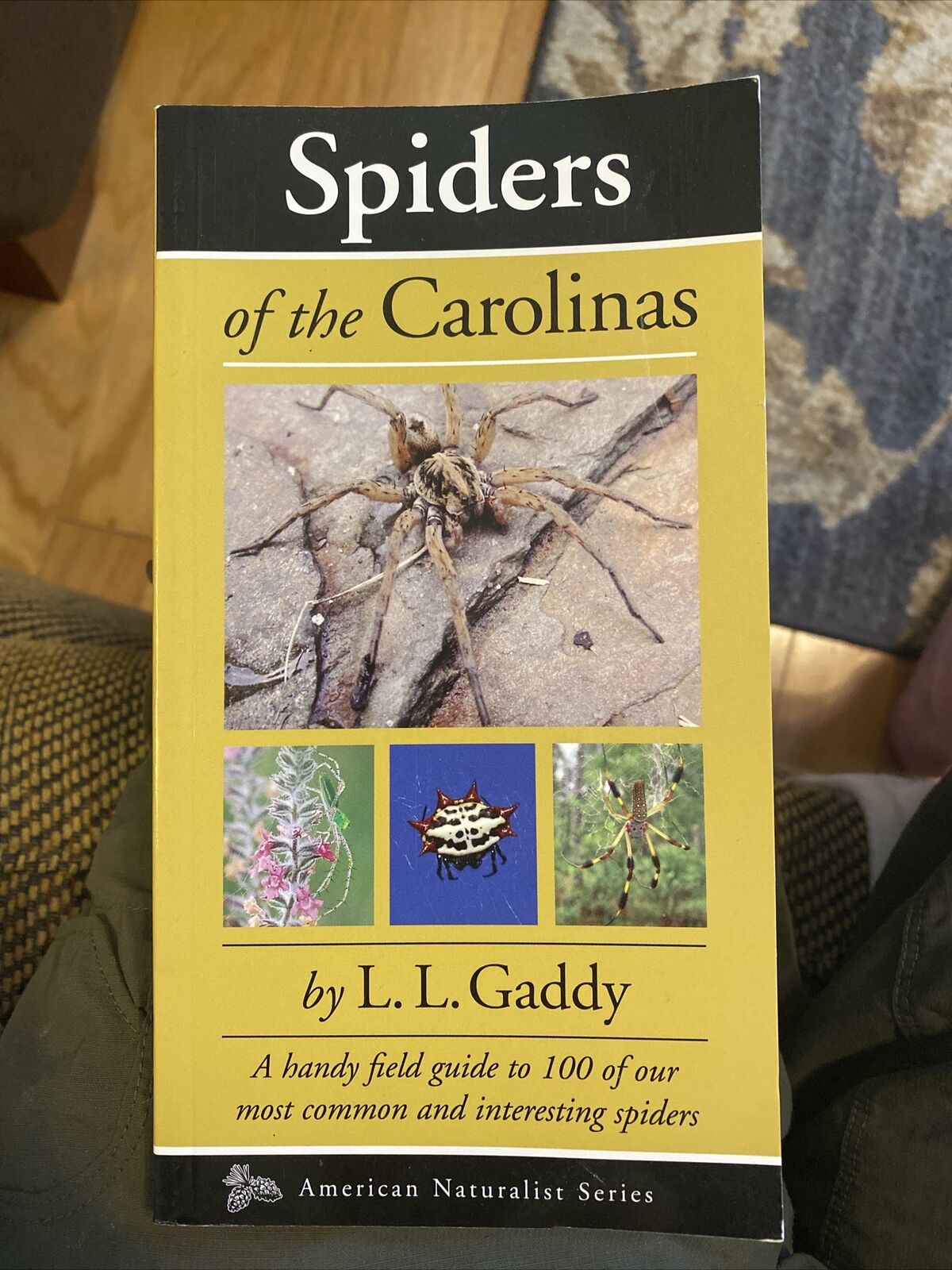 Spiders of the Carolinas