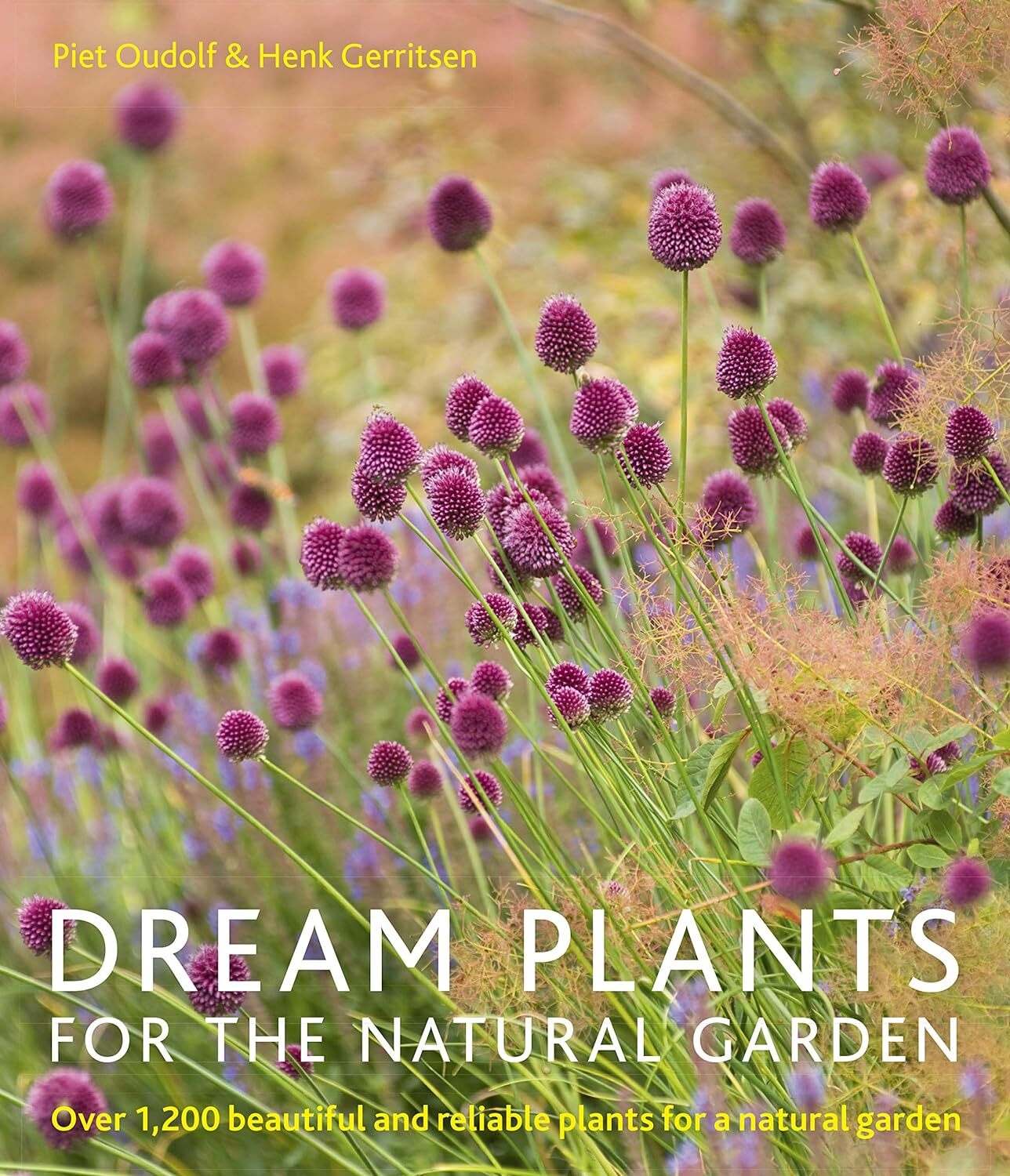 Dream Plants for the Natural Garden by Piet Oudolf & Henk Gerritsen, PB NEW