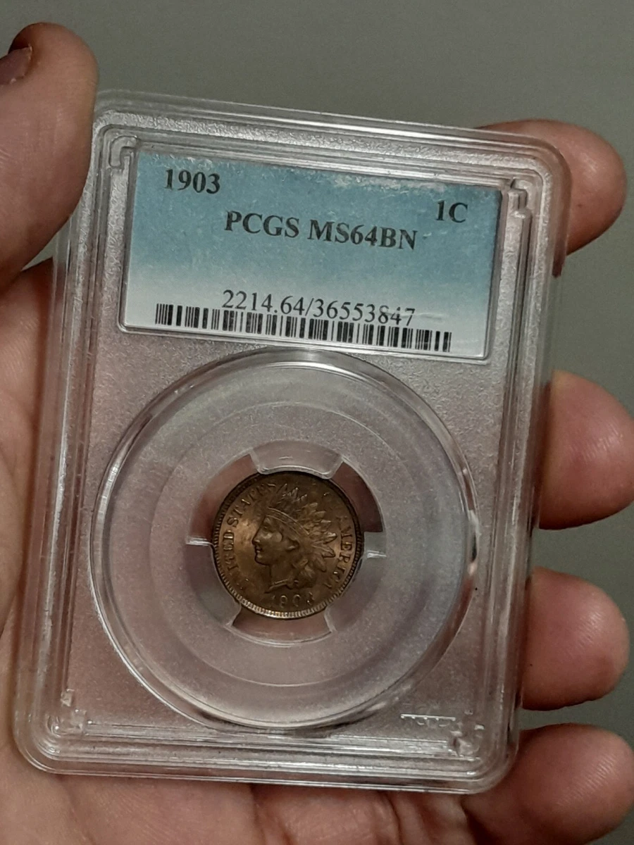 MS 64 Graded 1903 Year Indian Head Small Cents (1859-1909) for