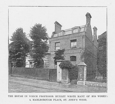 ST JOHN'S WOOD Marlborough Place, Huxley's Residence - antiker Druck 1895