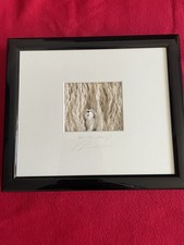 Volker Kühn,  "Wo ist Harry?", Art in Boxes, 3-D-Objekt, handsigniert