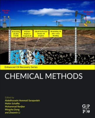 Chemical Methods Hemmati-Sarapardeh Schaffie Ranjbar Dong Li Paperback