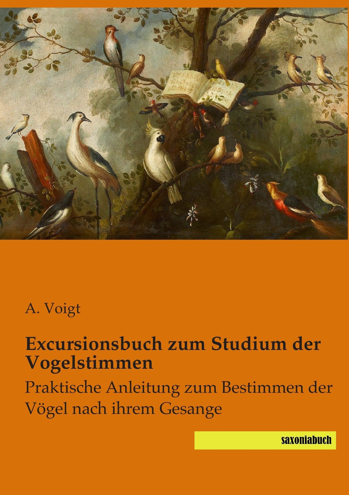 A. Voigt | Excursionsbuch Zum Studium Der Vogelstimmen | Taschenbuch |