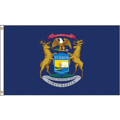ANNIN FLAGMAKERS 142670 Michigan Flag,4x6 Ft,Nylon 5JFJ9