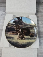 WS George   " The Red Wolf " Plate by Will Nelson In Box