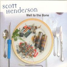 Well To The Bone von Henderson,Scott | CD | Zustand sehr gut