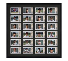 BGS Graded Card Frame Display Holds (24) Slabs Baseball, UV Protection optional