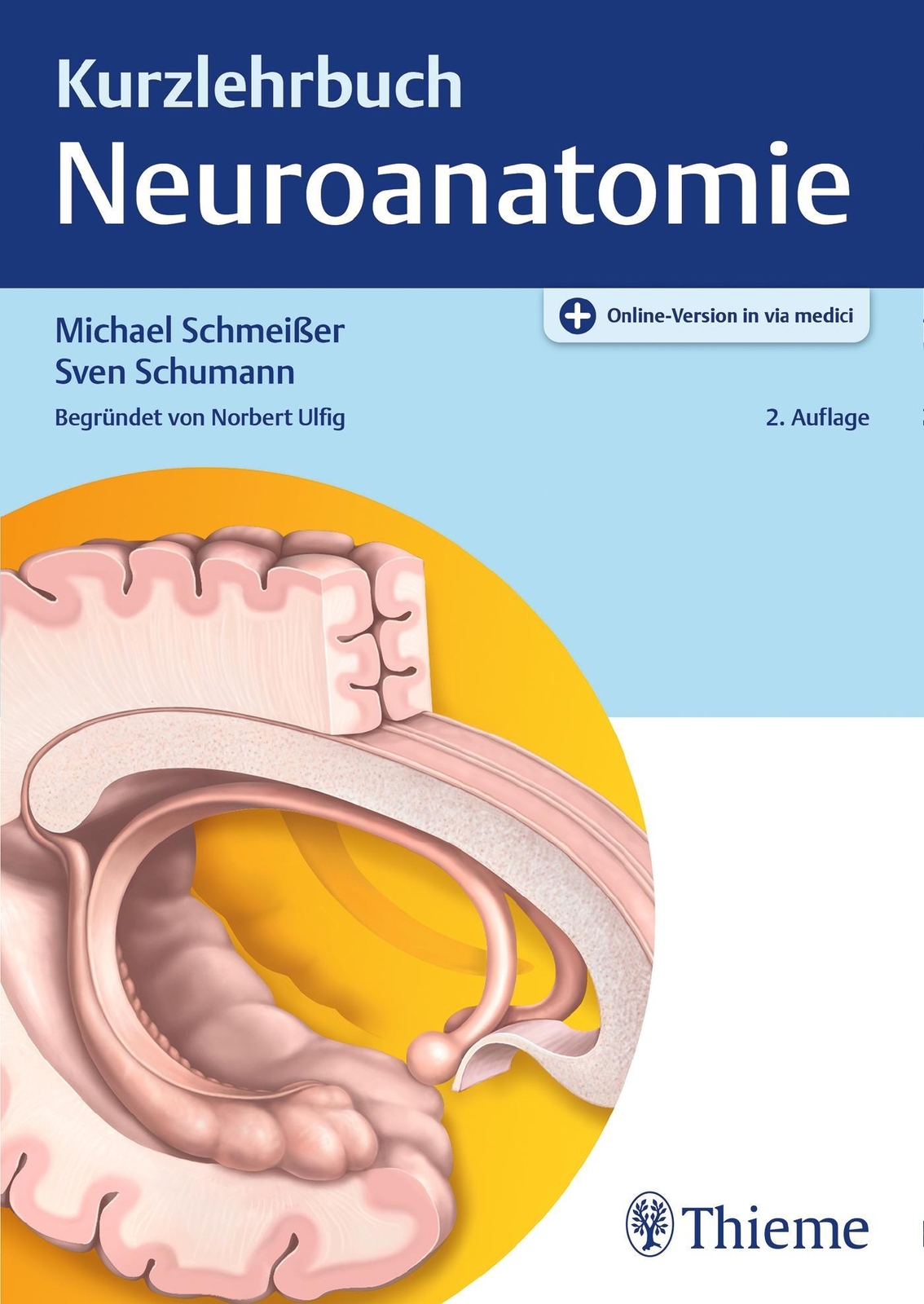 Thumbnail - Kurzlehrbuch Neuroanatomie Michael Schmeißer (u. A.) Bundle Thieme