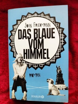 John Friedmann - Das Blaue vom Himmel - Roman Taschenbuch