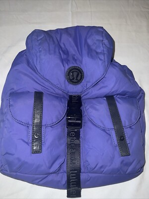 best north face backpack for disney The 10 Best Backpacks for Disney Vacations