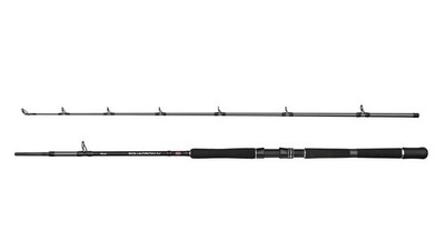 PENN SQUADRON IV Boat 210cm 2p 30-50lb Bootsrute Pilkrute