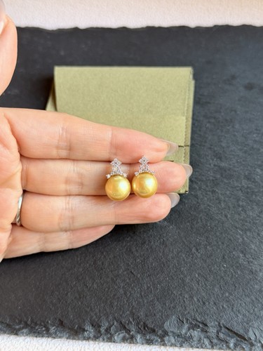 Natural Saltwater Golden Pearl Stud Earrings 10.8mm Crown S925 Sterling Silver