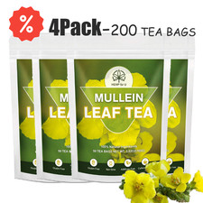 200pcs Mullein Leaf Tea Bags Herbal Mullein Tea Bags for Lungs Cleanse Support