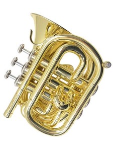 Carol Brass Cornet | eBay