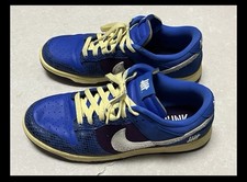 Nike Dunk Low Undefeated 5 On It US11