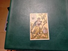 Liebig Old Card Chromo S 164 Femme Oiseau  Hirondelle