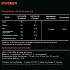 Imagen 11 de 15
