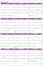"AT-A-GLANCE 2026 Wall Calendar, Monthly, 24"" x 36"", Extra 24W x 36H, White "