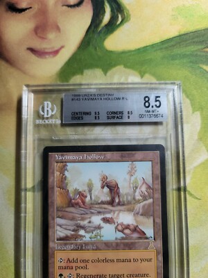 Foil  ヤヴィマヤのうろ穴/Yavimaya hollow yavimaya-hollow-85482.jpg