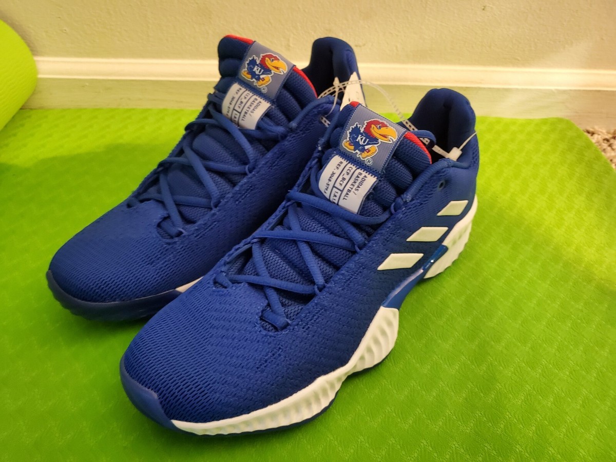 RARE ADIDAS Pro Bounce 2018 Low 