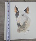 Picture 6 of 7
