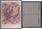 Boccasile: Mussolini - Propaganda Antibolscevica - La Luce viene dall'oriente?