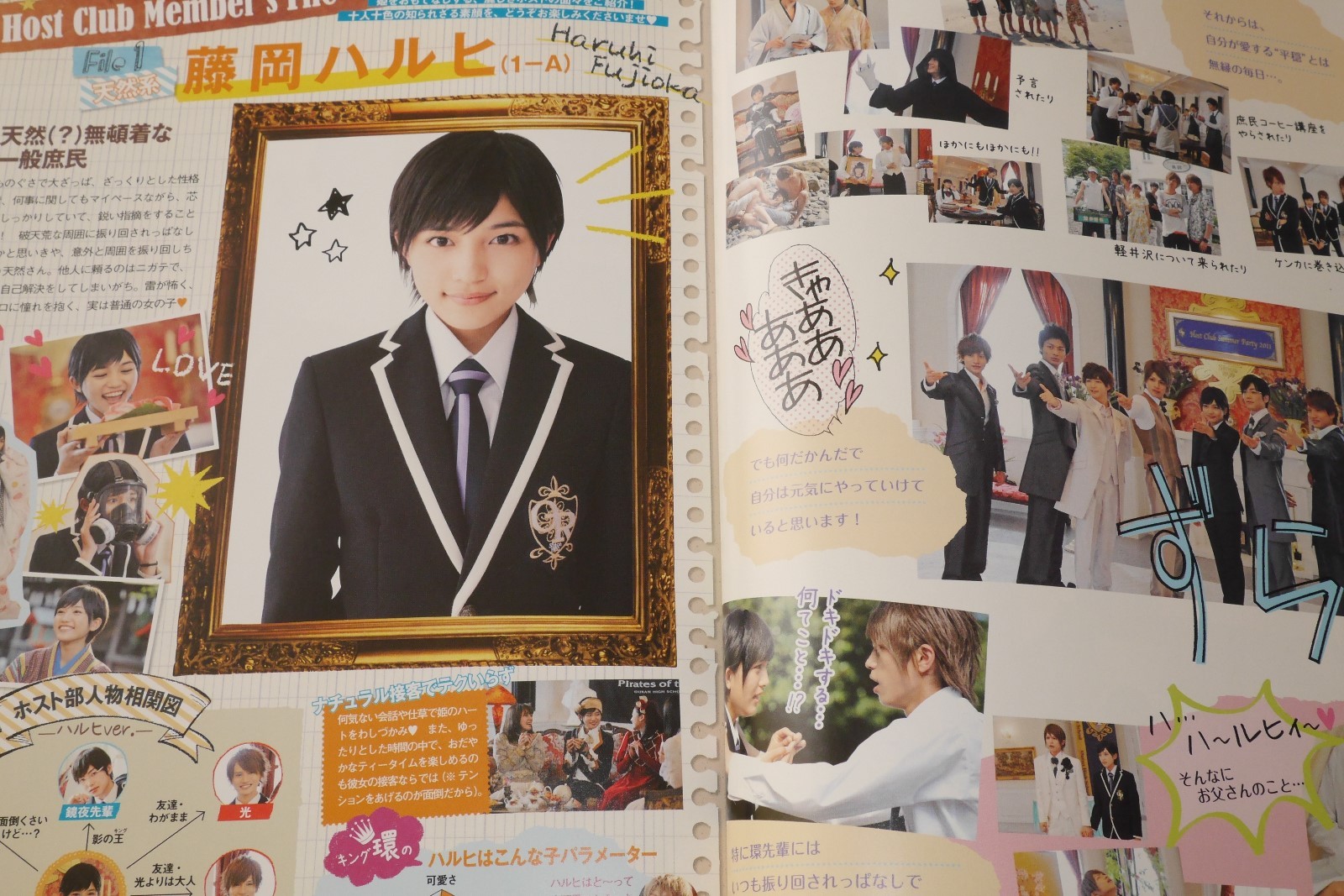 Ouran High School Host Club Perfect Guide - Movie & Original Manga