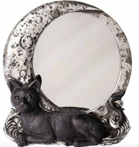 Miroir Chat Wall Compact Night Cat Mirror Alchemy Gothic Ebay