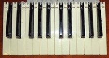 2 - Octaves, 24 Keys Dave Smith Prophet '08 Synth FATAR USED 5 Sharp, 7 Natural
