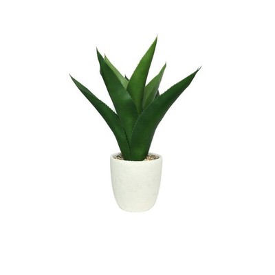 Weiße Botanica Topfagave (61 cm)