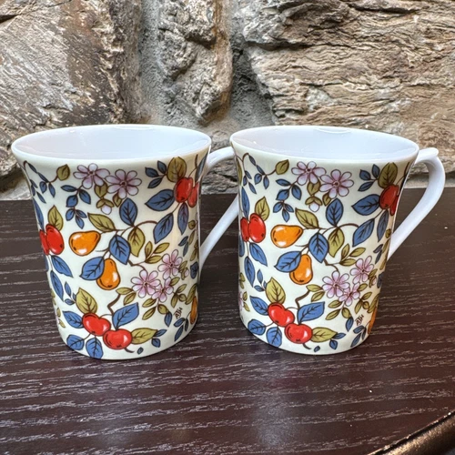 Vintage Queen's Fine Bone China England Orchard Coffee Tea Cup Mug Fruit