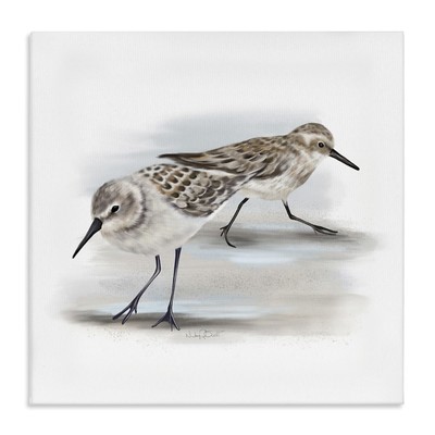 Sandpiper Pair on Sandy Beach Small Nautical Birds Canvas Wall Art, 17x17, Gray