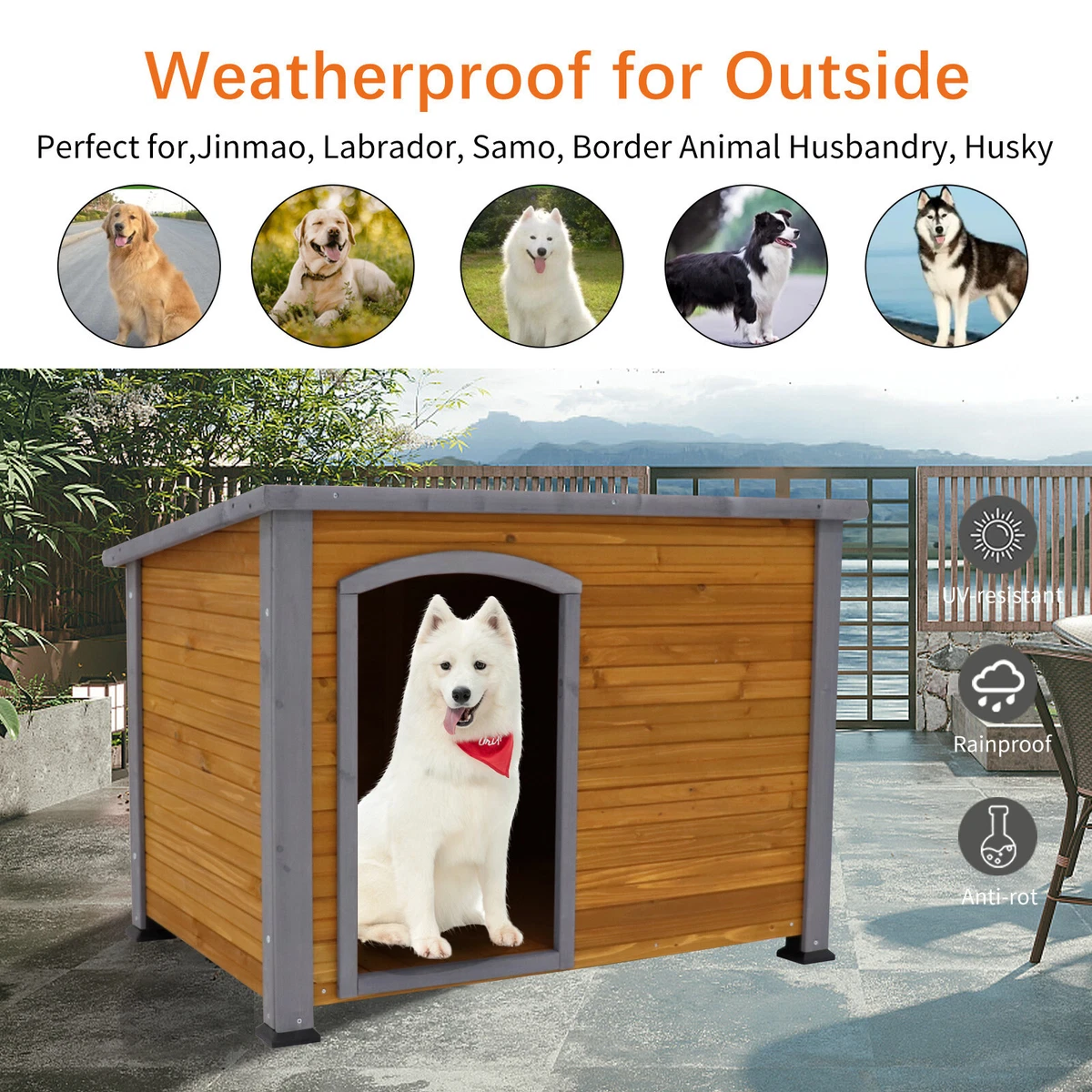 Heated dog houses top for large dogs