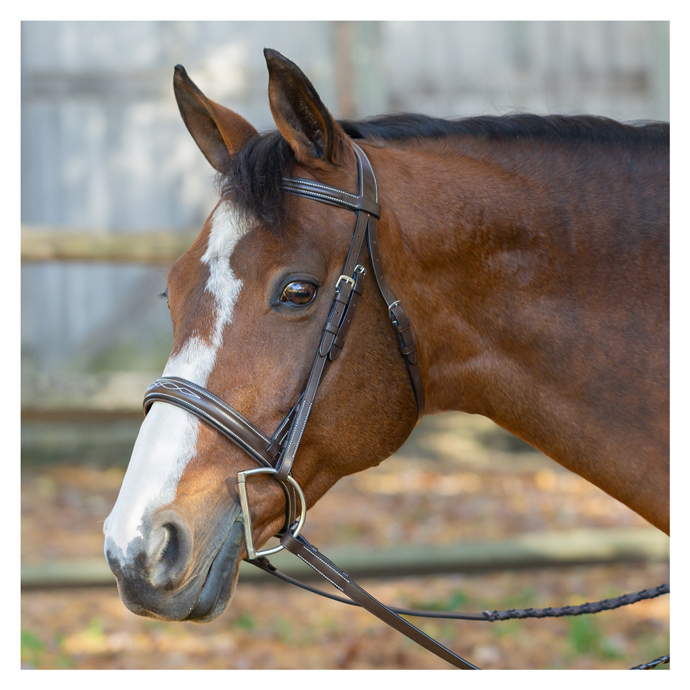 E11001-CBR Equinavia Saga Wide Noseband Fancy Stitched Hunter Bridle & Reins NEW