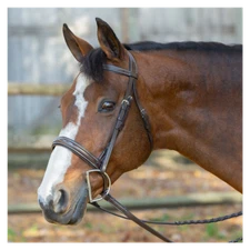 E11001-CBR Equinavia Saga Wide Noseband Fancy Stitched Hunter Bridle & Reins NEW