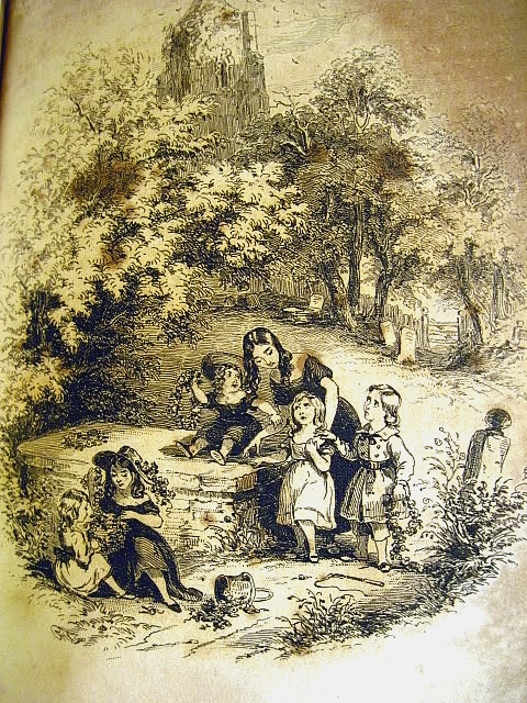 Picture 23 of 24