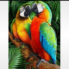 Kit peinture diamant motif "Perroquets" 20X30cm