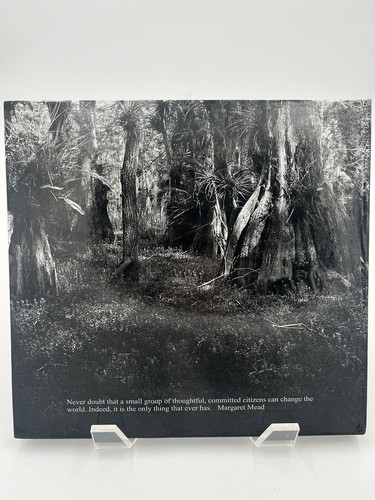 Clyde Butcher - Big Cypress Swamp: The Western Everglades - Picture 2 of 3