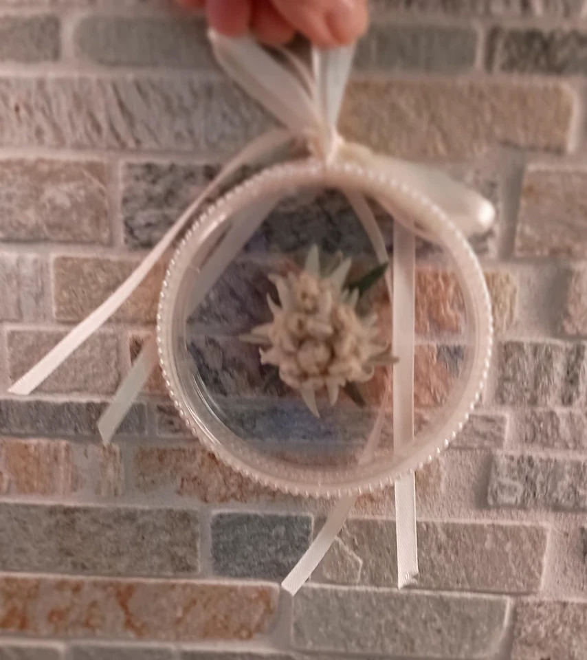 Flor Seca REAL Adorno Flor Edelweiss Redondo en Plástico Borde de Cuentas Redondas Foto 3 de 4