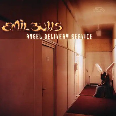 ANGEL DELIVERY SERVICE