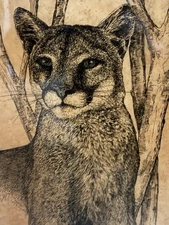 MCM DECOUPAGE Mt Lion Signed Pen & Ink WILDLIFE Print Barry Nehr MAN CAVE