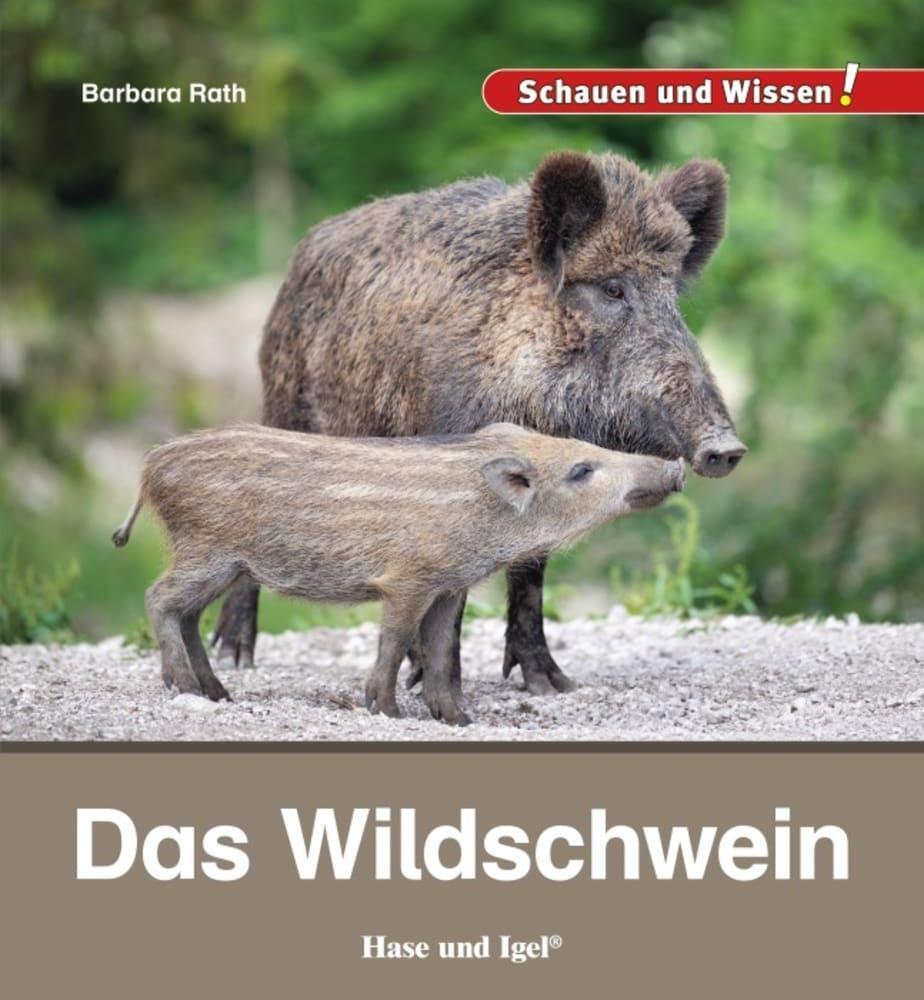 Thumbnail - Das Wildschwein Barbara Rath